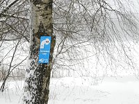 Bild: Unterwegs im winterlichen Harz