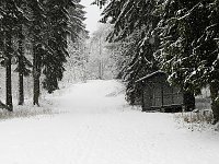 Bild: Unterwegs im winterlichen Harz