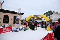 Bild: Schlittenhunderennen in Hasselfelde