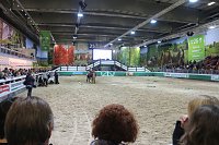 Grüne Woche 2017 in Berlin Bild: Grüne Woche 2017 in Berlin