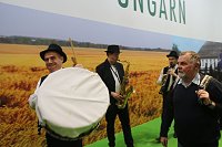 Grüne Woche 2017 in Berlin Bild: Grüne Woche 2017 in Berlin