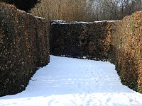Bild: Peter Blei unterwegs - Schloss Mosigkau