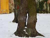 Bild: Peter Blei unterwegs - Schloss Mosigkau