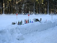 Schlittenhunderennen in Benneckenstein Bild: Schlittenhunderennen in Benneckenstein