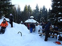 Schlittenhunderennen in Benneckenstein Bild: Schlittenhunderennen in Benneckenstein