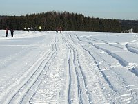 Schlittenhunderennen in Benneckenstein Bild: Schlittenhunderennen in Benneckenstein