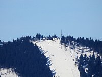 Schlittenhunderennen in Benneckenstein Bild: Schlittenhunderennen in Benneckenstein
