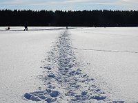 Schlittenhunderennen in Benneckenstein Bild: Schlittenhunderennen in Benneckenstein