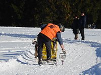 Schlittenhunderennen in Benneckenstein Bild: Schlittenhunderennen in Benneckenstein