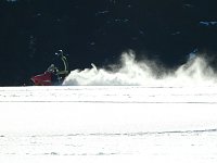 Schlittenhunderennen in Benneckenstein Bild: Schlittenhunderennen in Benneckenstein