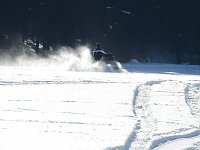 Schlittenhunderennen in Benneckenstein Bild: Schlittenhunderennen in Benneckenstein