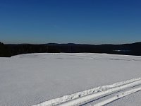 Schlittenhunderennen in Benneckenstein Bild: Schlittenhunderennen in Benneckenstein