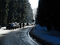 Schlittenhunderennen in Benneckenstein Bild: Schlittenhunderennen in Benneckenstein