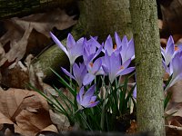 Bild: Spuren des Fr&uuml;hlings
