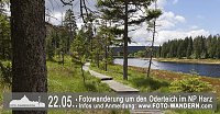 Mit dem Fotoapparat unterwegs Bild: Mit dem Fotoapparat unterwegs