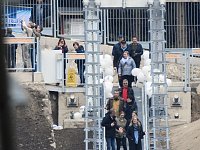 Harzdrenalin auf 458 Metern Bild: Harzdrenalin auf 458 Metern