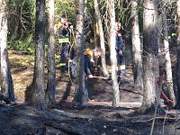 Bild: Brand im Alten Stolberg