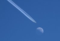 Das besondere Foto Bild: Das besondere Foto