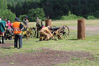 Große Parade auf dem Dickkopf Bild: Große Parade auf dem Dickkopf
