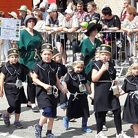 Umzug Sachsen-Anhalt-Tag Bild: Umzug Sachsen-Anhalt-Tag