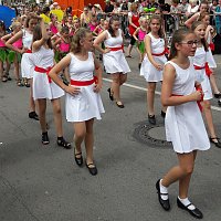 Umzug Sachsen-Anhalt-Tag Bild: Umzug Sachsen-Anhalt-Tag