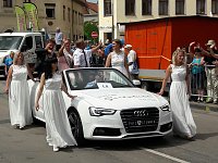 Umzug Sachsen-Anhalt-Tag Bild: Umzug Sachsen-Anhalt-Tag