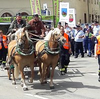 Umzug Sachsen-Anhalt-Tag Bild: Umzug Sachsen-Anhalt-Tag