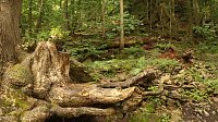 Bild: Sonntagswanderung bei Thale
