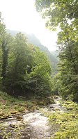 Bild: Sonntagswanderung bei Thale