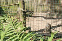 Bild: Sonntagswanderung bei Thale