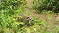 Bild: Sonntagswanderung bei Thale