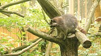 Bild: Sonntagswanderung bei Thale