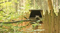 Bild: Sonntagswanderung bei Thale