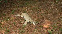Bild: Sonntagswanderung bei Thale