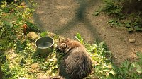 Bild: Sonntagswanderung bei Thale