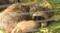 Bild: Sonntagswanderung bei Thale
