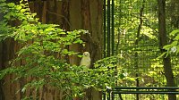 Bild: Sonntagswanderung bei Thale
