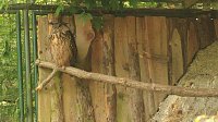 Bild: Sonntagswanderung bei Thale