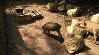 Bild: Sonntagswanderung bei Thale
