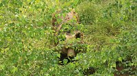 Bild: Sonntagswanderung bei Thale
