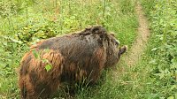 Bild: Sonntagswanderung bei Thale