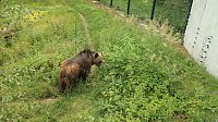 Bild: Sonntagswanderung bei Thale