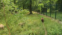 Bild: Sonntagswanderung bei Thale