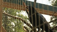 Bild: Sonntagswanderung bei Thale