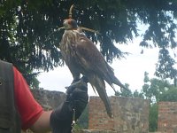 Gelebtes Mittelalter auf Burg Falkenstein Bild: Gelebtes Mittelalter auf Burg Falkenstein