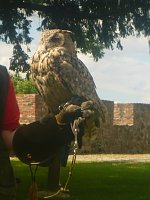 Gelebtes Mittelalter auf Burg Falkenstein Bild: Gelebtes Mittelalter auf Burg Falkenstein