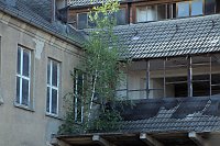 Bild: An der Piste und in der Stadt