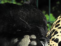 Bild: Zu Gast im Tierpark Dessau