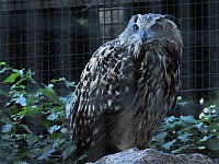 Bild: Zu Gast im Tierpark Dessau