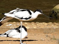 Bild: Zu Gast im Tierpark Dessau